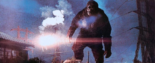Godzilla - Die Rückkehr des King Kong (DVD)