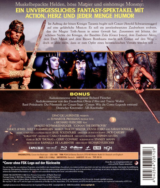 Conan der Zerstörer (Blu-ray)